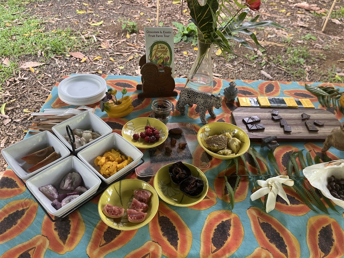 Kīlauea Jungle Oasis