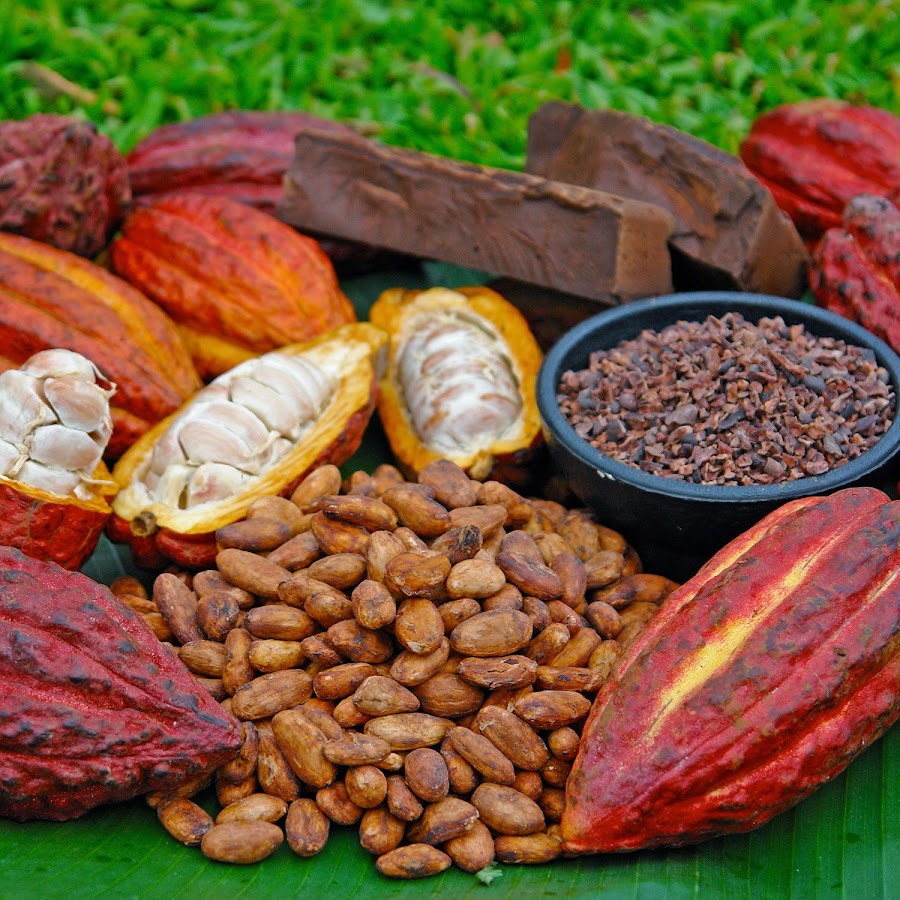 Garden Island Chocolate